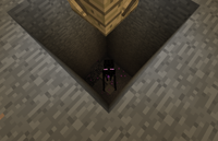 Enderman